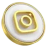 icono instagram